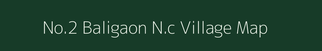 No.2 Baligaon N.c village map in Assam
