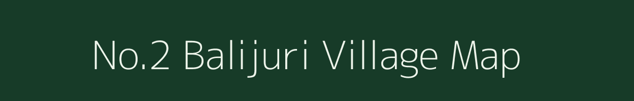 No.2 Balijuri village map in Assam