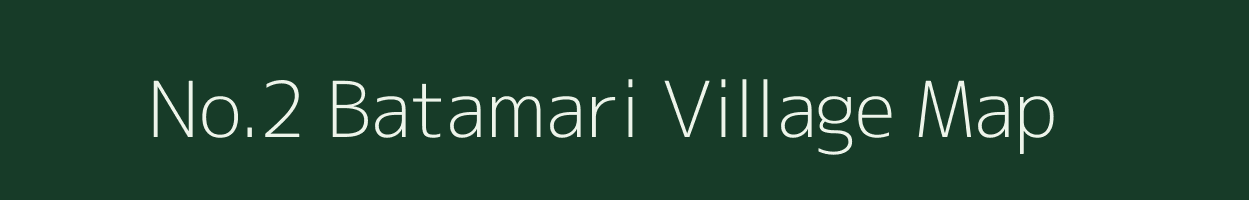 No.2 Batamari village map in Assam