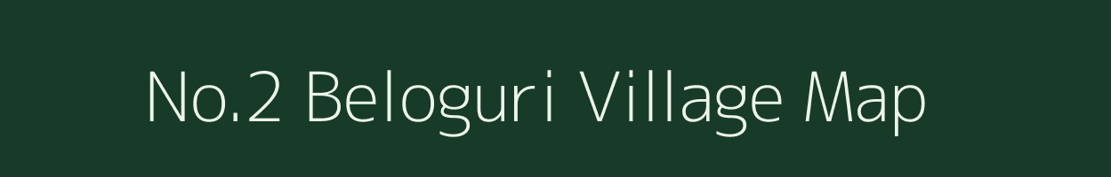 No.2 Beloguri village map in Assam