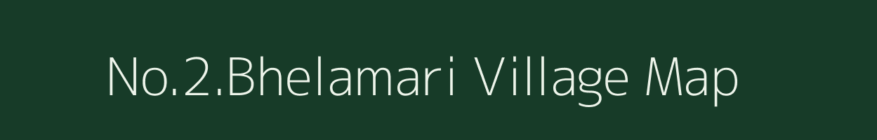 No.2.Bhelamari village map in Assam