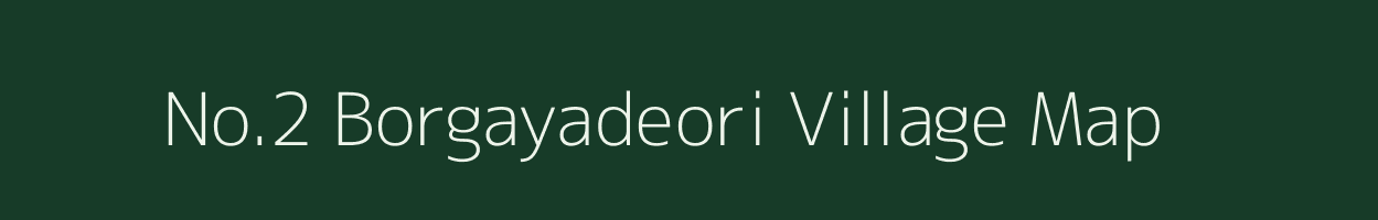 No.2 Borgayadeori village map in Assam
