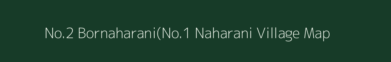 No.2 Bornaharani(No.1 Naharani village map in Assam