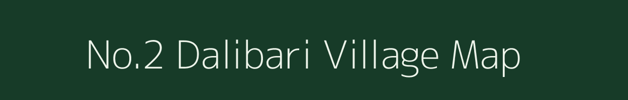 No.2 Dalibari village map in Assam