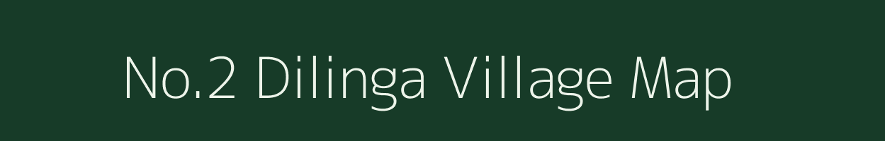 No.2 Dilinga village map in Assam