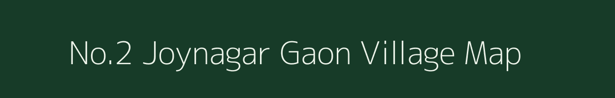No.2 Joynagar Gaon village map in Assam