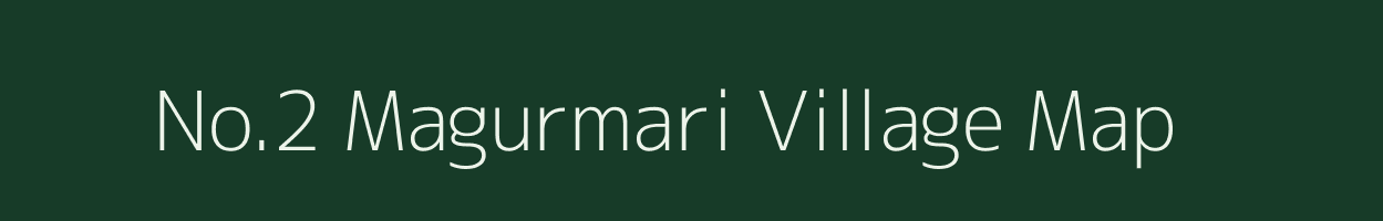 No.2 Magurmari village map in Assam