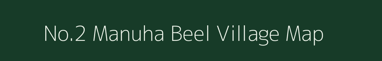 No.2 Manuha Beel village map in Assam