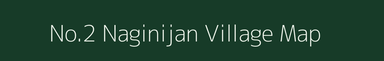 No.2 Naginijan village map in Assam