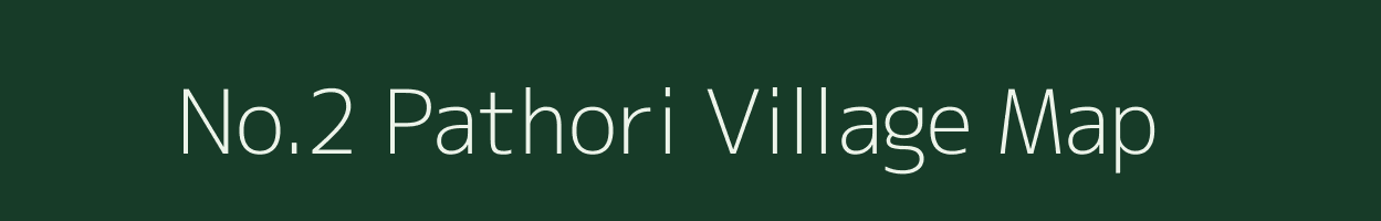 No.2 Pathori village map in Assam