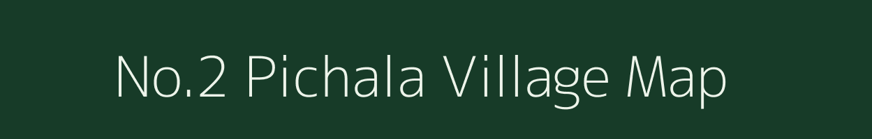 No.2 Pichala village map in Assam