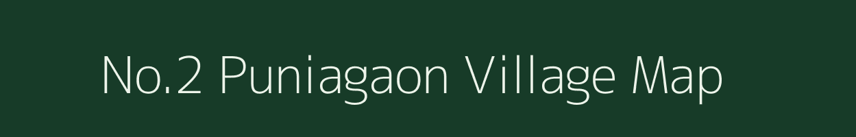 No.2 Puniagaon village map in Assam