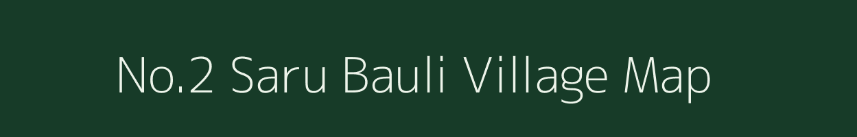 No.2 Saru Bauli village map in Assam