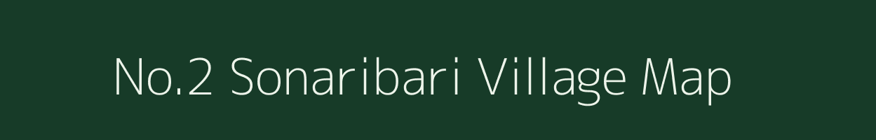 No.2 Sonaribari village map in Assam