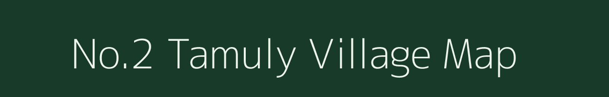 No.2 Tamuly village map in Assam