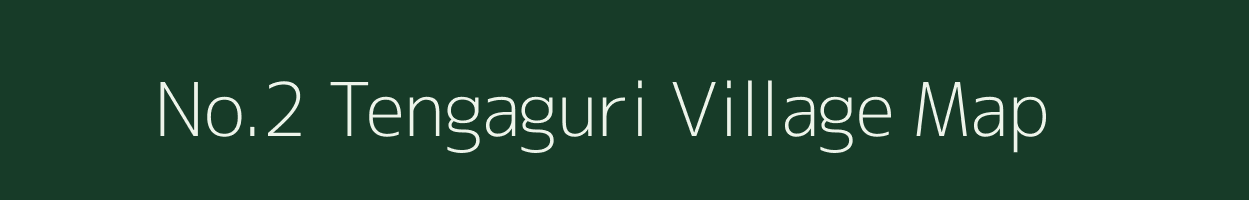 No.2 Tengaguri village map in Assam