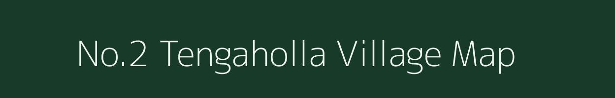 No.2 Tengaholla village map in Assam