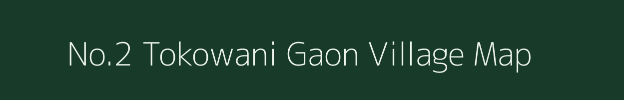 No.2 Tokowani Gaon village map in Assam