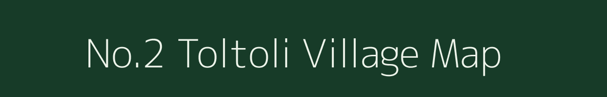 No.2 Toltoli village map in Assam