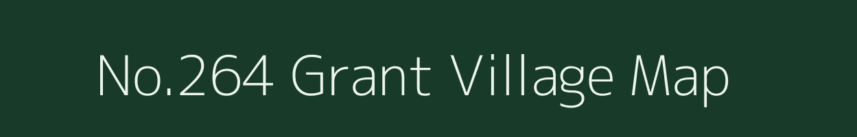 No.264 Grant village map in Assam