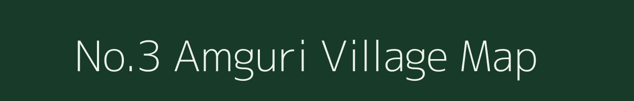 No.3 Amguri village map in Assam
