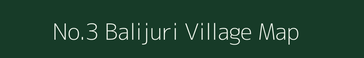 No.3 Balijuri village map in Assam