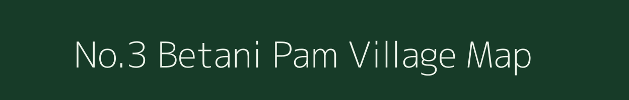 No.3 Betani Pam village map in Assam