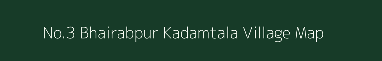No.3 Bhairabpur Kadamtala village map in Assam