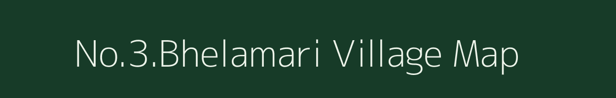 No.3.Bhelamari village map in Assam