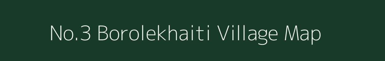 No.3 Borolekhaiti village map in Assam