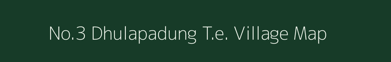 No.3 Dhulapadung T.e. village map in Assam