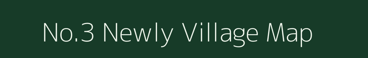 No.3 Newly village map in Assam