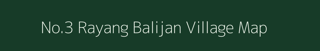 No.3 Rayang Balijan village map in Assam