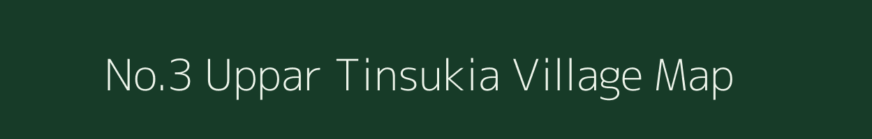 No.3 Uppar Tinsukia village map in Assam
