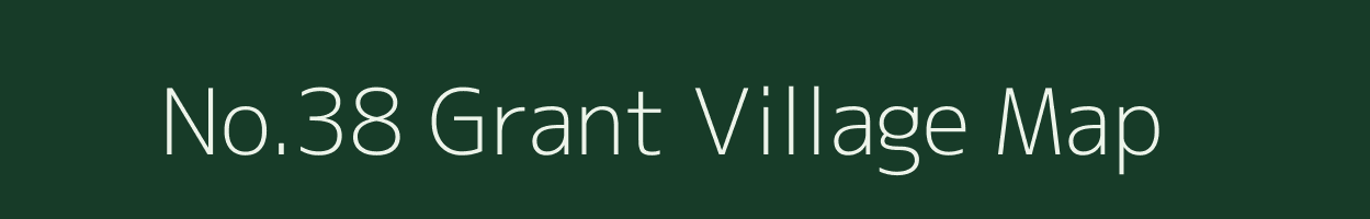 No.38 Grant village map in Assam