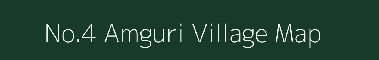 No.4 Amguri village map in Assam
