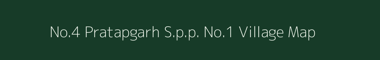 No.4 Pratapgarh S.p.p. No.1 village map in Assam