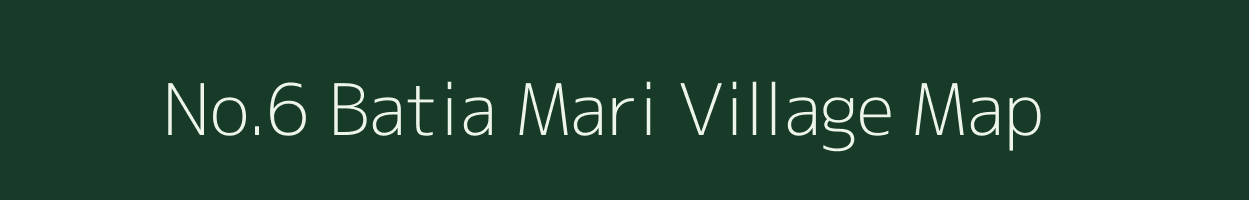 No.6 Batia Mari village map in Assam