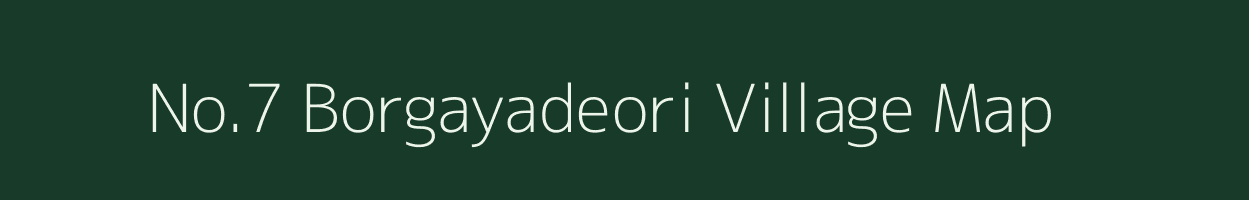 No.7 Borgayadeori village map in Assam