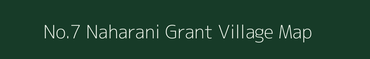 No.7 Naharani Grant village map in Assam