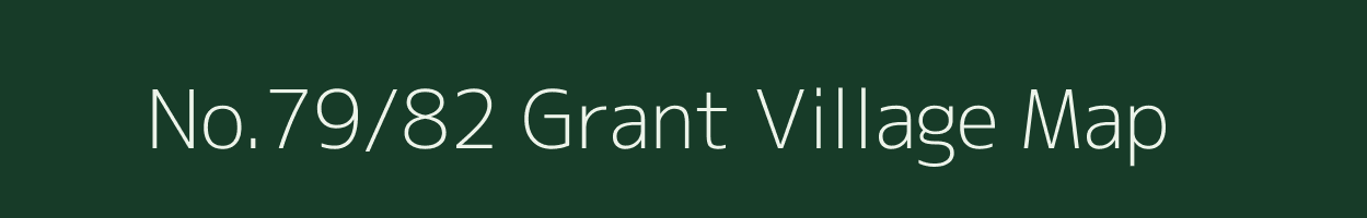 No.79/82 Grant village map in Assam