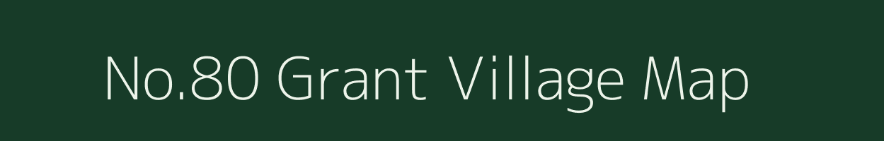 No.80 Grant village map in Assam