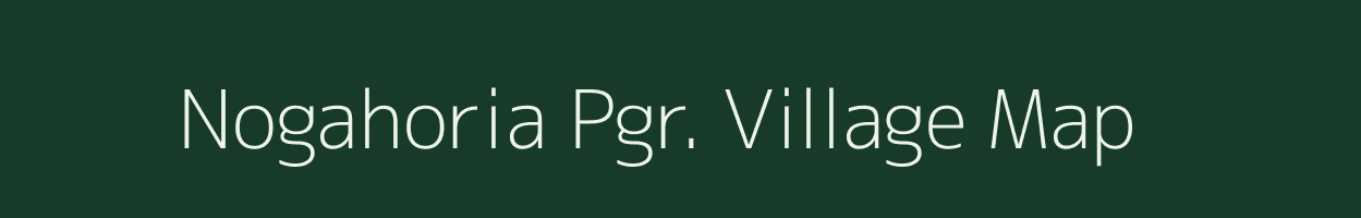 Nogahoria Pgr. village map in Assam