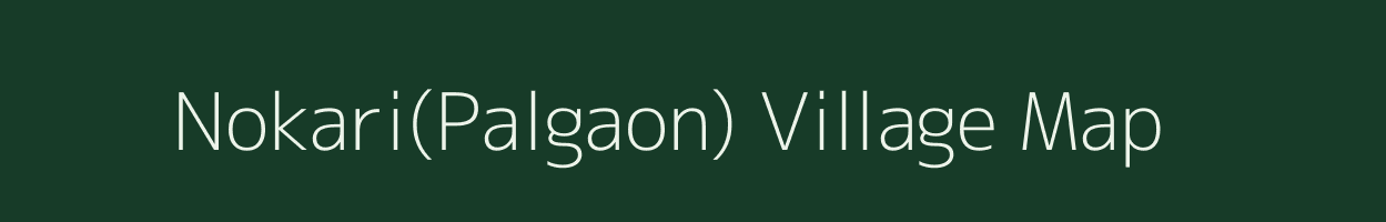Nokari(Palgaon) village map in Maharashtra