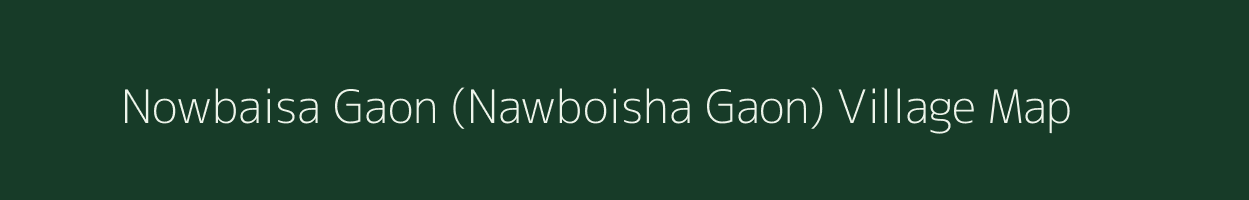 Nowbaisa Gaon (Nawboisha Gaon) village map in Assam