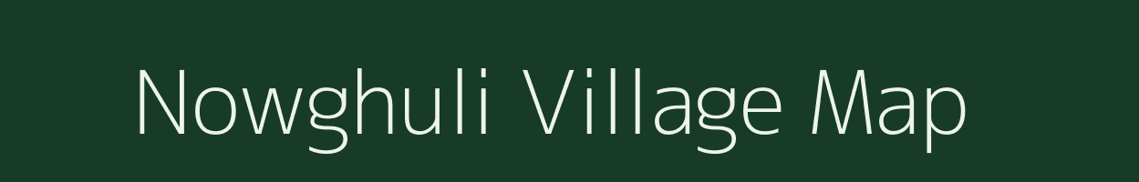 Nowghuli village map in Assam