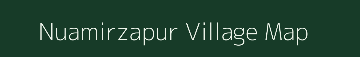 Nuamirzapur village map in Odisha