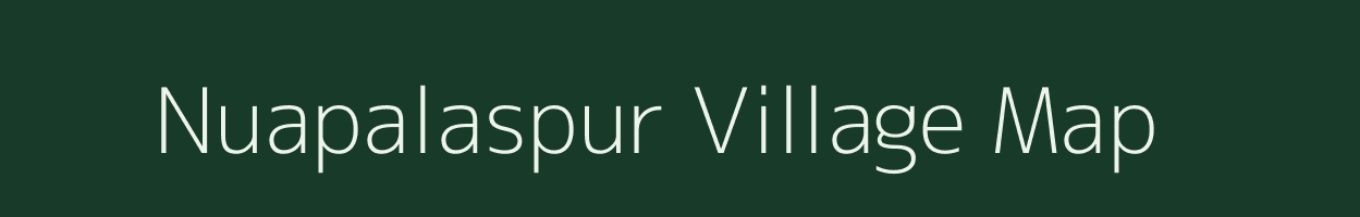 Nuapalaspur village map in Odisha