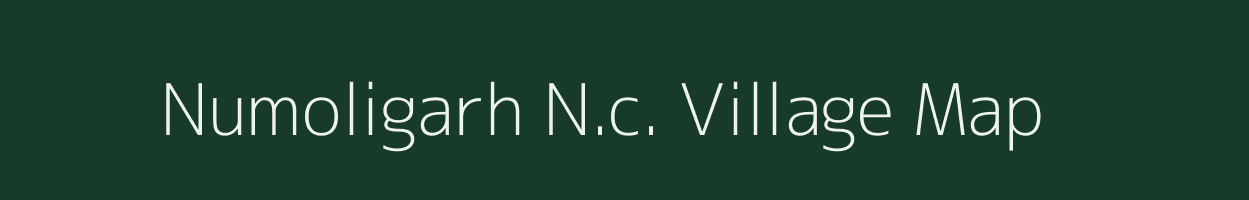 Numoligarh N.c. village map in Assam