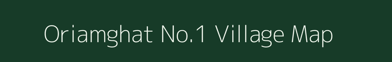 Oriamghat No.1 village map in Assam